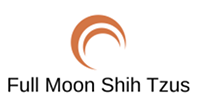 Full Moon Shih Tzus